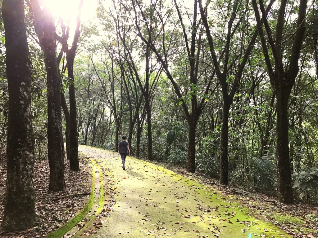 Establishing daily habits to highlight the importance of routine in recovery.